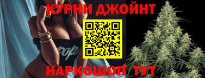 spice Бийск