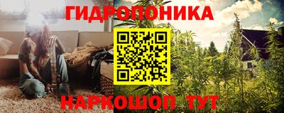 spice Бийск