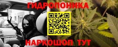 spice Бийск