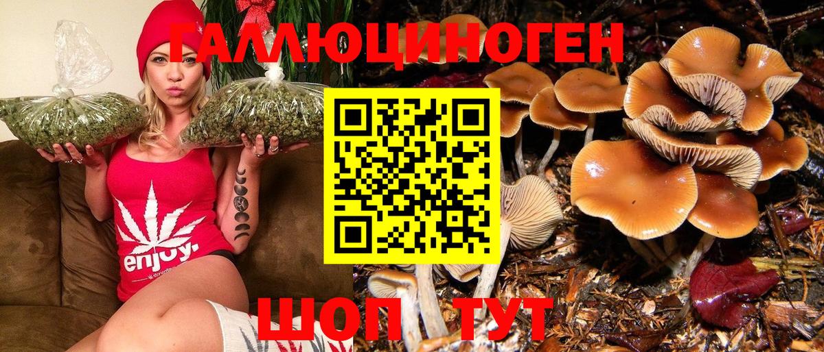 Бошки Шишки Клинцы