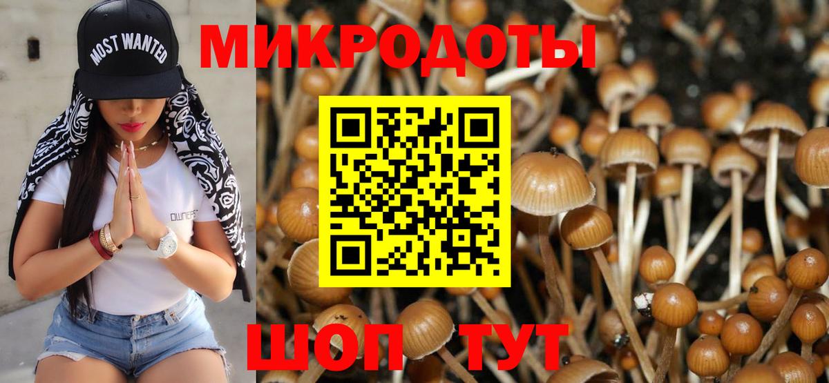 Галлюциногенные грибы Magic Shrooms Клинцы